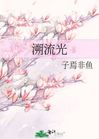 溯流光